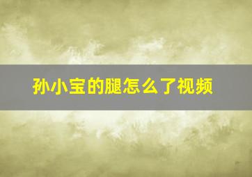 孙小宝的腿怎么了视频