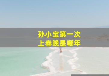 孙小宝第一次上春晚是哪年