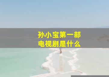 孙小宝第一部电视剧是什么