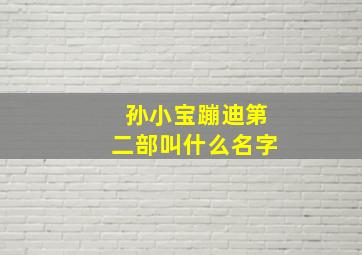 孙小宝蹦迪第二部叫什么名字