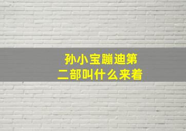 孙小宝蹦迪第二部叫什么来着