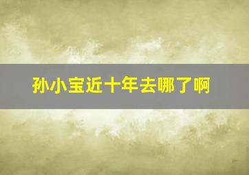 孙小宝近十年去哪了啊