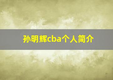 孙明辉cba个人简介