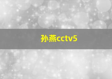 孙燕cctv5