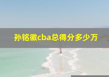 孙铭徽cba总得分多少万