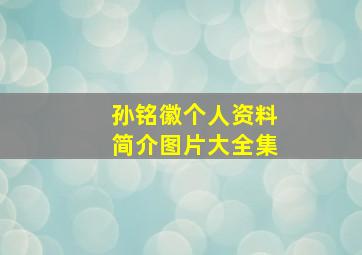 孙铭徽个人资料简介图片大全集