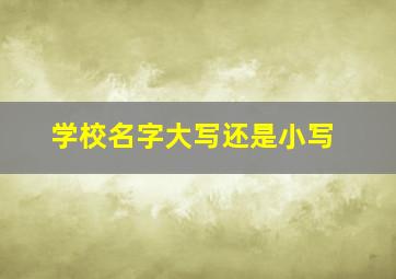 学校名字大写还是小写