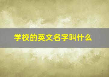 学校的英文名字叫什么