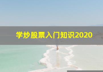 学炒股票入门知识2020