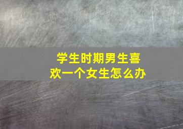 学生时期男生喜欢一个女生怎么办