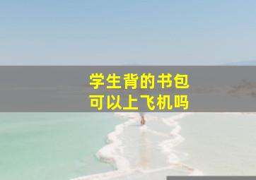 学生背的书包可以上飞机吗