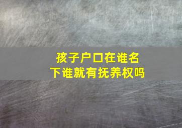 孩子户口在谁名下谁就有抚养权吗