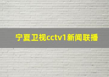 宁夏卫视cctv1新闻联播