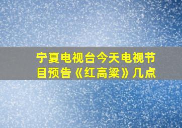 宁夏电视台今天电视节目预告《红高粱》几点