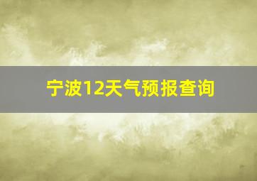 宁波12天气预报查询