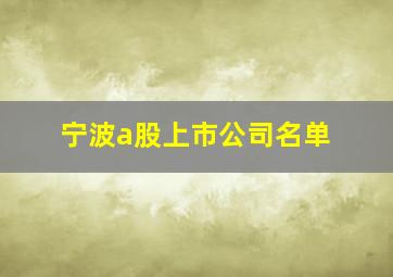 宁波a股上市公司名单