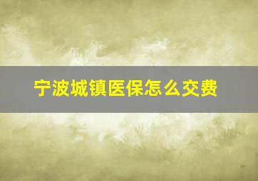 宁波城镇医保怎么交费