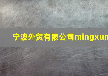 宁波外贸有限公司mingxun