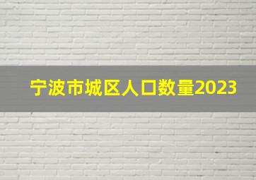 宁波市城区人口数量2023