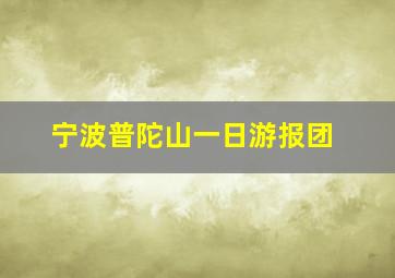 宁波普陀山一日游报团