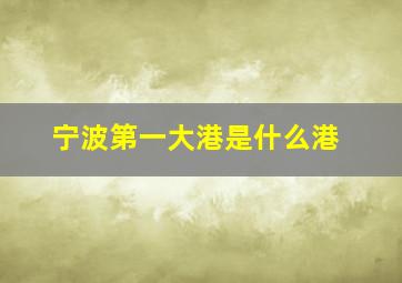 宁波第一大港是什么港