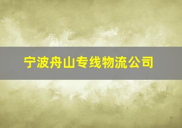 宁波舟山专线物流公司