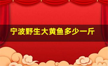 宁波野生大黄鱼多少一斤