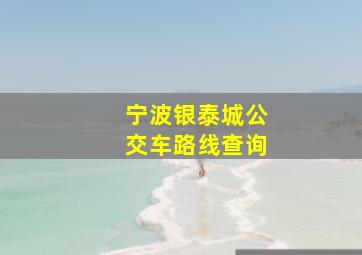 宁波银泰城公交车路线查询