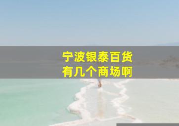 宁波银泰百货有几个商场啊