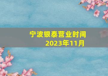 宁波银泰营业时间2023年11月