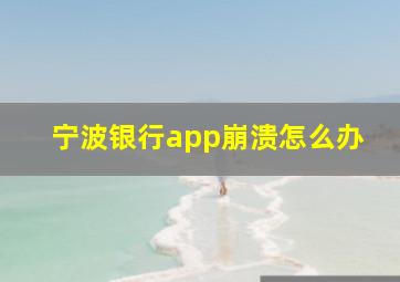 宁波银行app崩溃怎么办