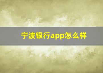 宁波银行app怎么样