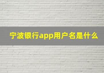 宁波银行app用户名是什么