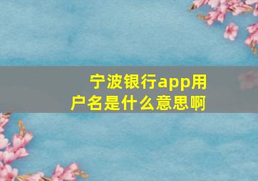 宁波银行app用户名是什么意思啊