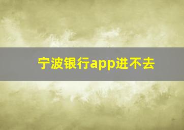 宁波银行app进不去