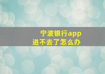 宁波银行app进不去了怎么办