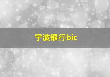 宁波银行bic