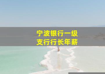 宁波银行一级支行行长年薪