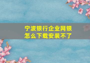 宁波银行企业网银怎么下载安装不了