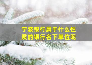 宁波银行属于什么性质的银行名下单位呢