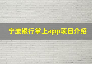 宁波银行掌上app项目介绍