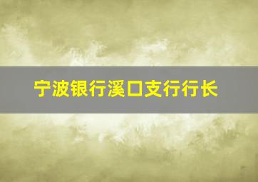 宁波银行溪口支行行长