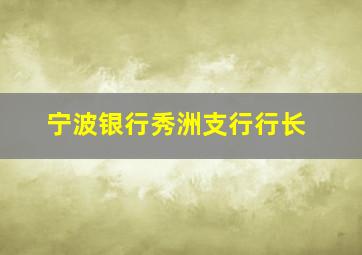 宁波银行秀洲支行行长