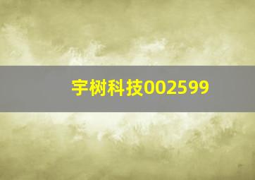 宇树科技002599