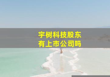 宇树科技股东有上市公司吗