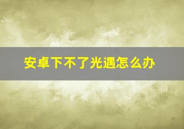 安卓下不了光遇怎么办