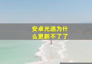 安卓光遇为什么更新不了了