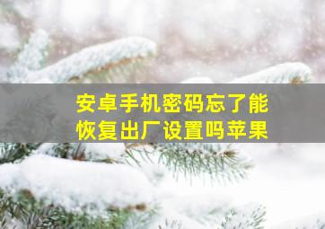 安卓手机密码忘了能恢复出厂设置吗苹果