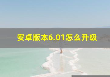 安卓版本6.01怎么升级