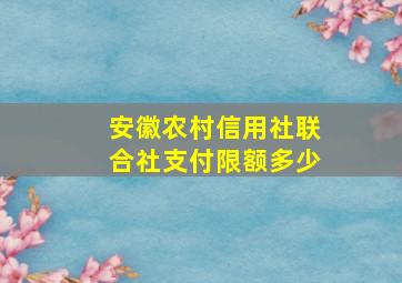 安徽农村信用社联合社支付限额多少